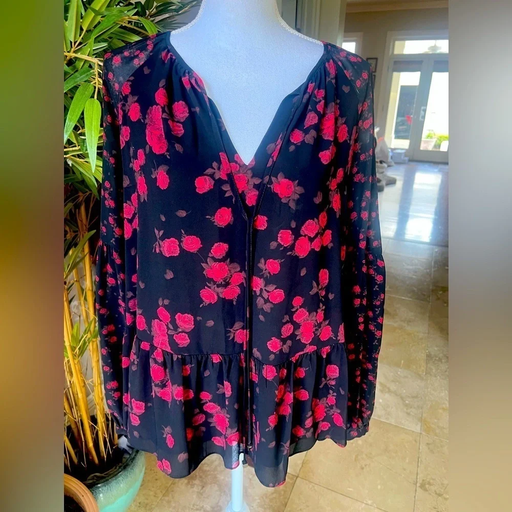 Michael Kors, ladies, long sleeve, sheer blouse, size, small excellent condition